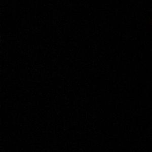 Meet your Posher, Lexie